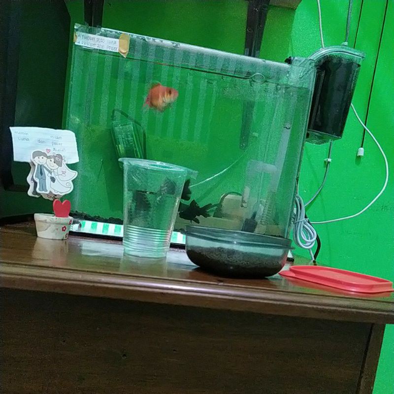 

aaua bekas