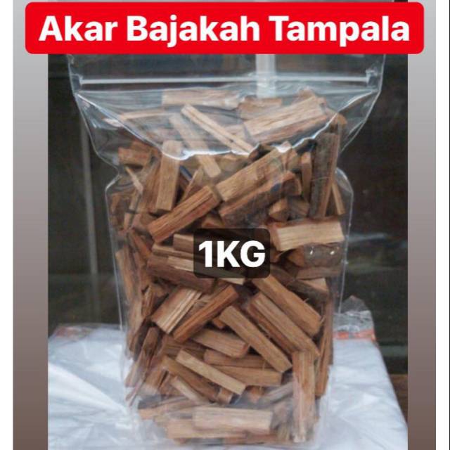 

1KG AKAR BAJAKAH TAMPALA OBAT AMPUH KANKER TUMOR BENJOLAN SEMBUH CEPAT