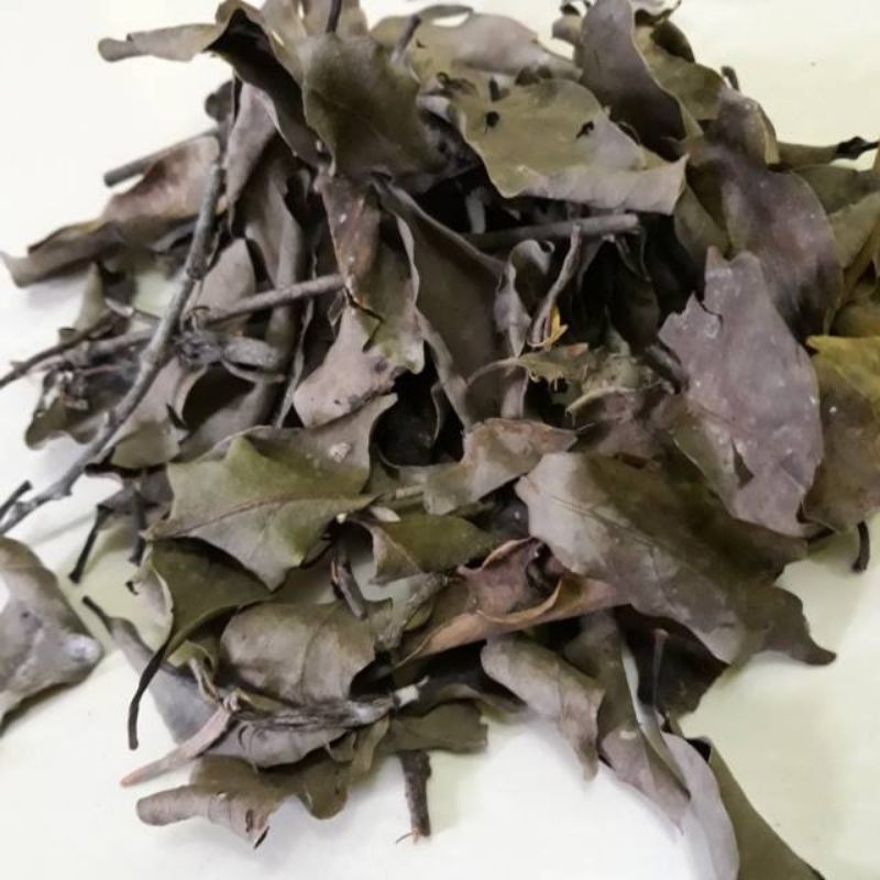 

Benalu Alpukat Kering Per 500 Gram Organik