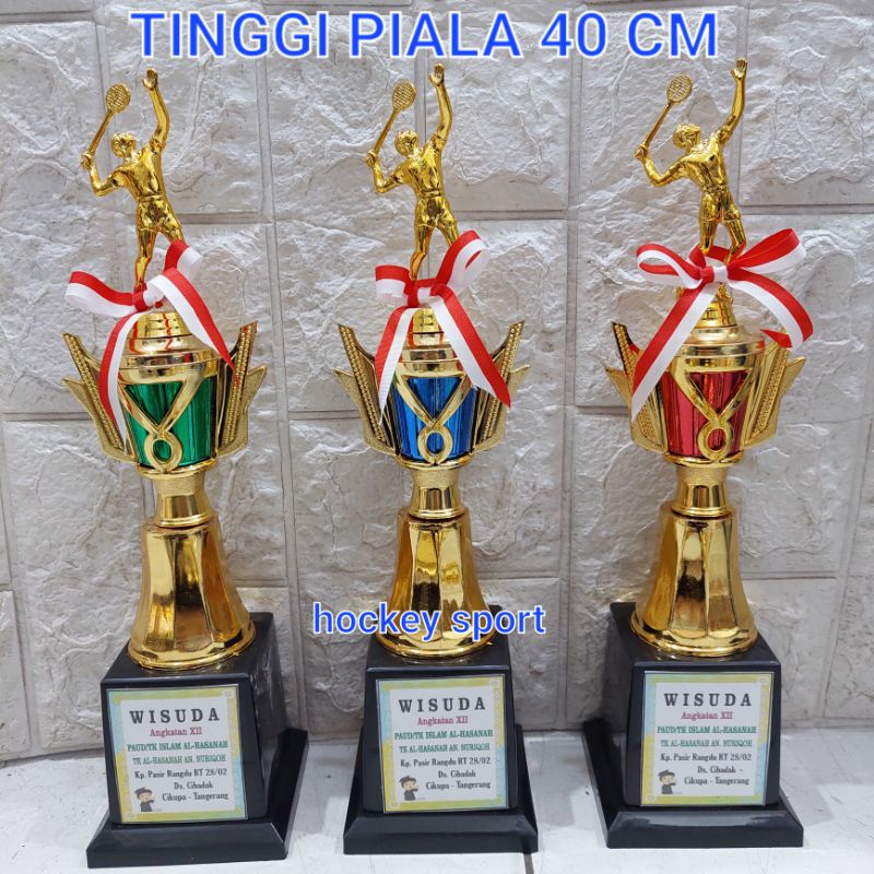 Jual Trophy Piala Badminton Bulu Tangkis Isi 1 Pcs ( B.17 ) | Shopee ...