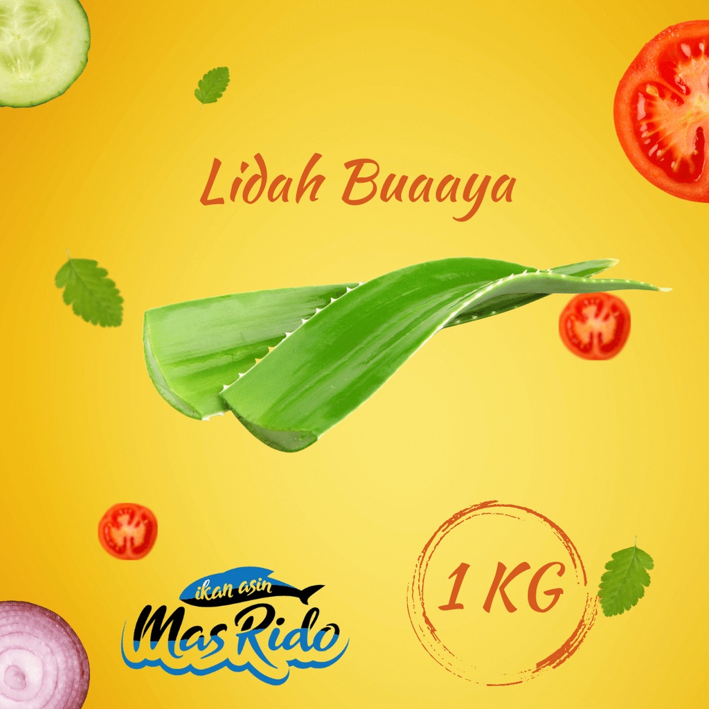 

Lidah Buaya 1Kg Sayur Segar