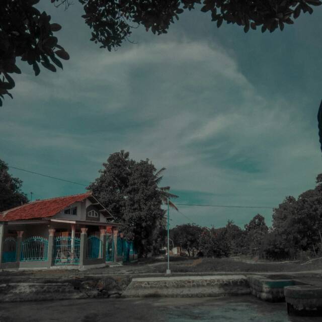 sintayld