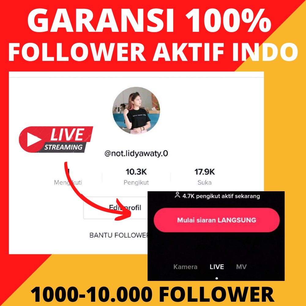 Akun Tiktok Fyp Real Follower Human Aktif Indo Murah GARANSI GRATIS ONGKIR