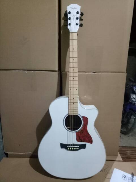 gitar akustik elektrik  taylor jumbo custom dobel ran