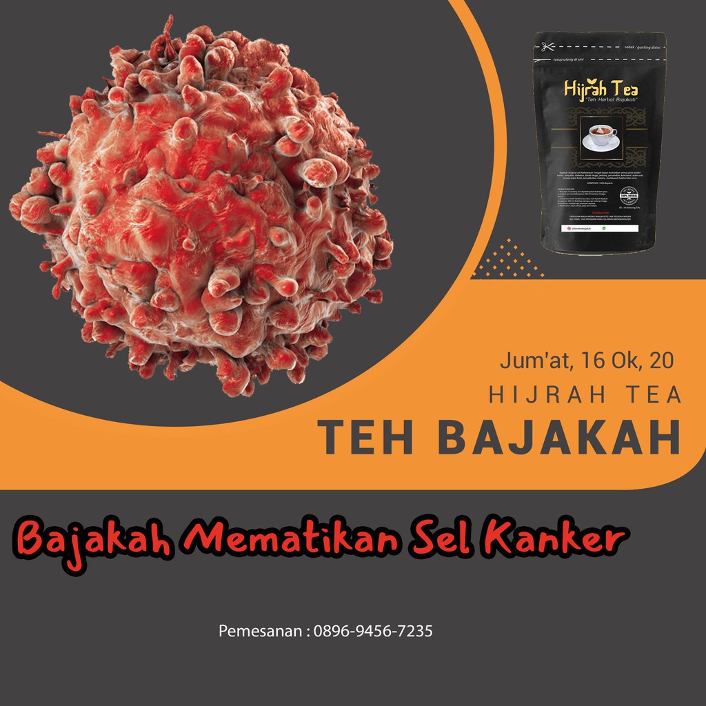 

Obat Kanker Akar Bajakah Dijamin Asli | Teh Bajakah