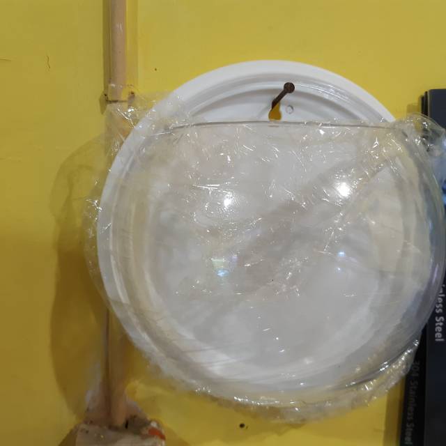 aquarium mini dinding