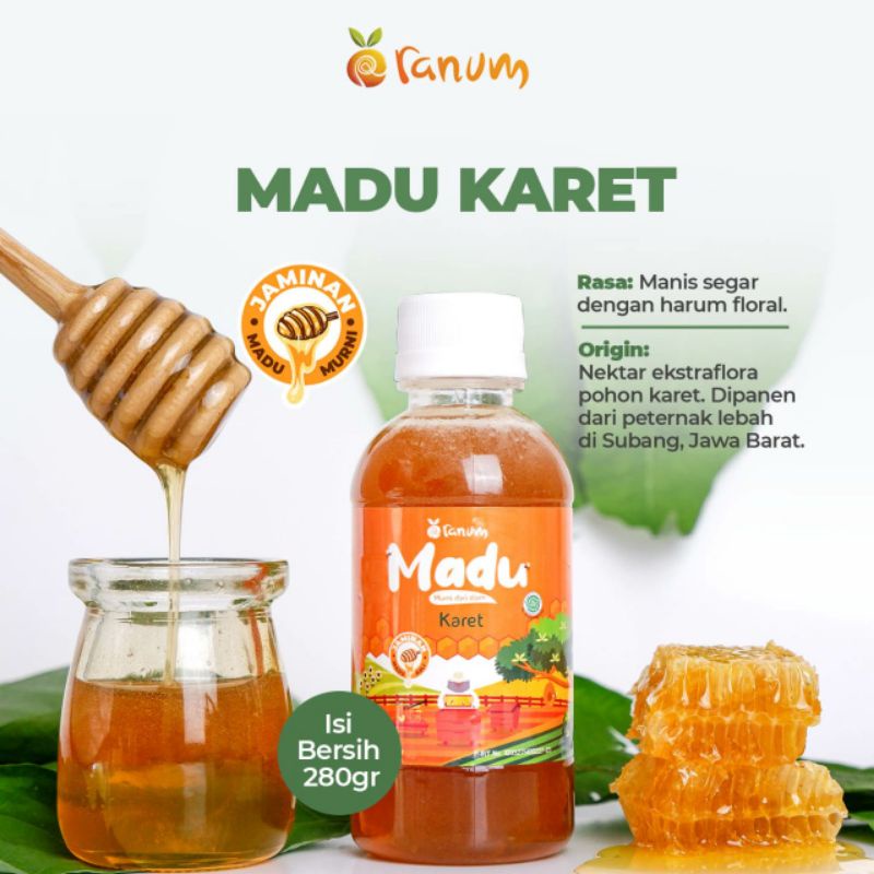 

Madu karet 280 gram (Ranum farm)
