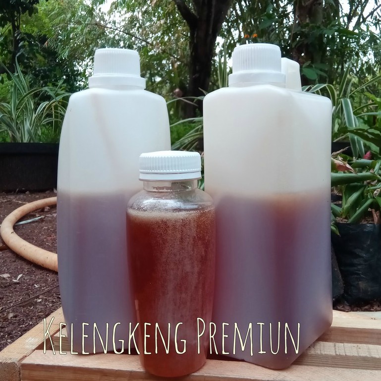 

Madu Asli Murni Kelengkeng Super 1kg