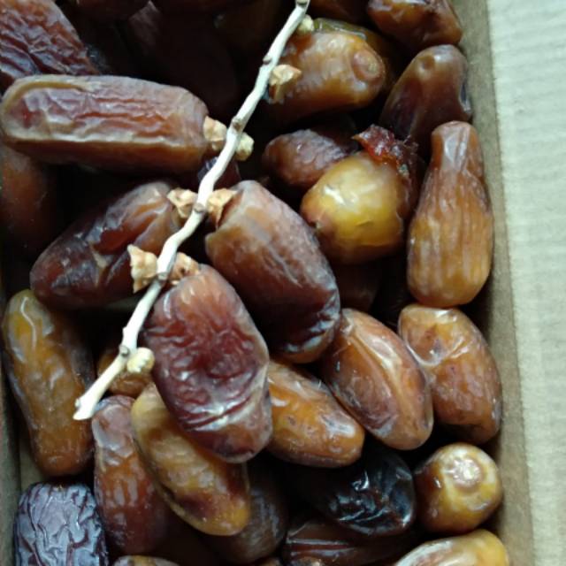 

Kurma Tangkai Tunisia