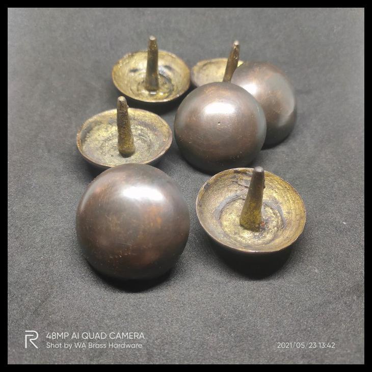 PAKU PINES KUNINGAN 4 CM