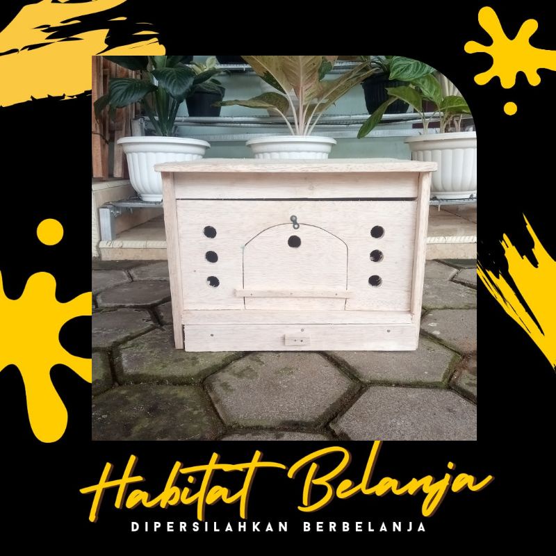 Gupon Merpati Pagupon Tong Kandang Merpati Ada Laci