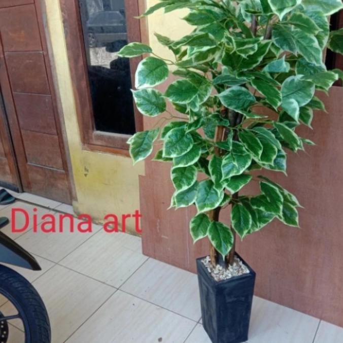 pohon bonsai#pohon sinfu#pohon plastik/tanaman palsu