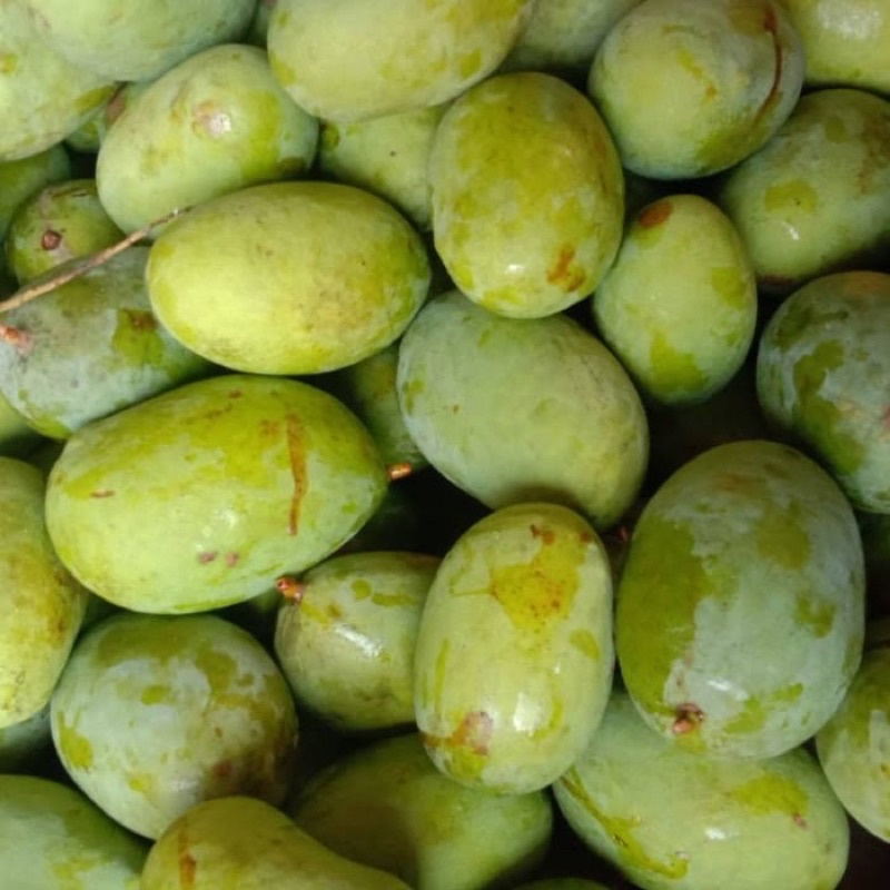 

Mangga kweni