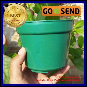 Pot Bunga Plastik 12cm / King Mado 12 Hijau - Pot Tanaman Plastik 12 Cm Warna Hijau Harga Grosir