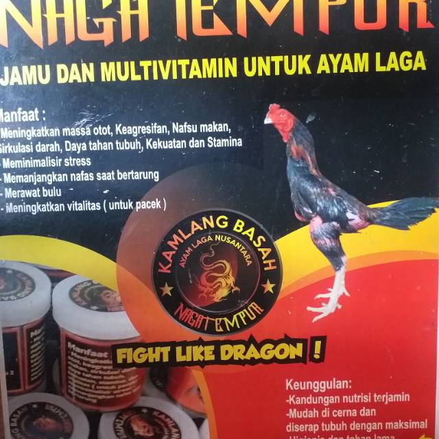 Kamlang basah Naga Tempur
