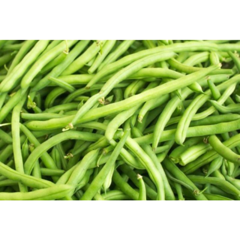 

Baby Buncis - 200 gram