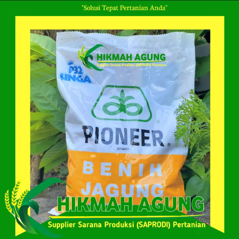 P 32 Singa Bibit Benih Jagung Pioner P32 Singa kemasan 1kg - Benih Jagung Hibrida
