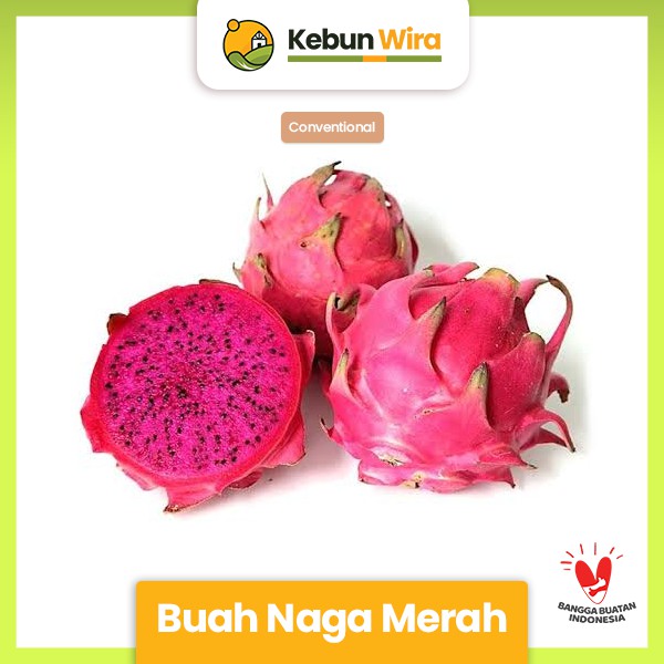 

Buah Naga Merah Conventional 500 gram