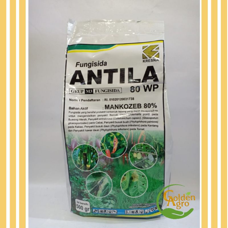 FUNGISIDA ANTILA 80WP WP 500GR GR GRAM