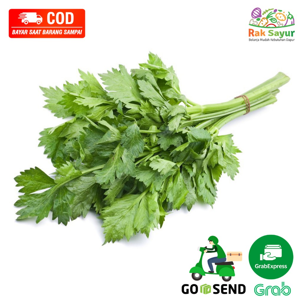 

Sayuran Segar Rak Sayur Padang Seledri 50gr Bumbu Dapur Herbal Sehat