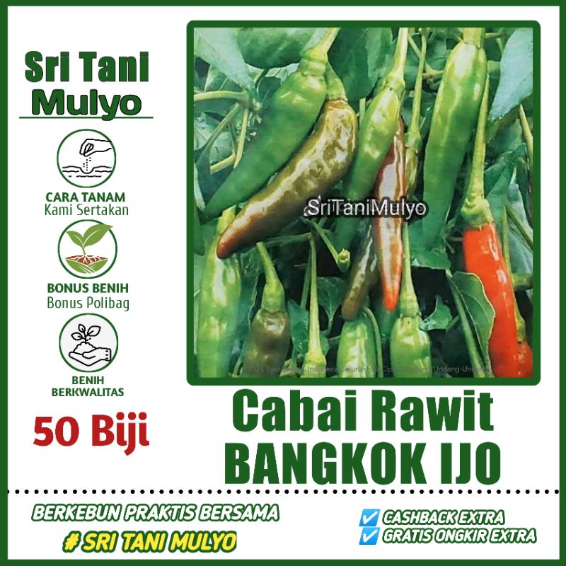 50 Biji - Benih Cabai Rawit Hijau Merunduk BANGKOK IJO - Bibit Sayuran Benih Sayuran Cabe Cabai Rawi