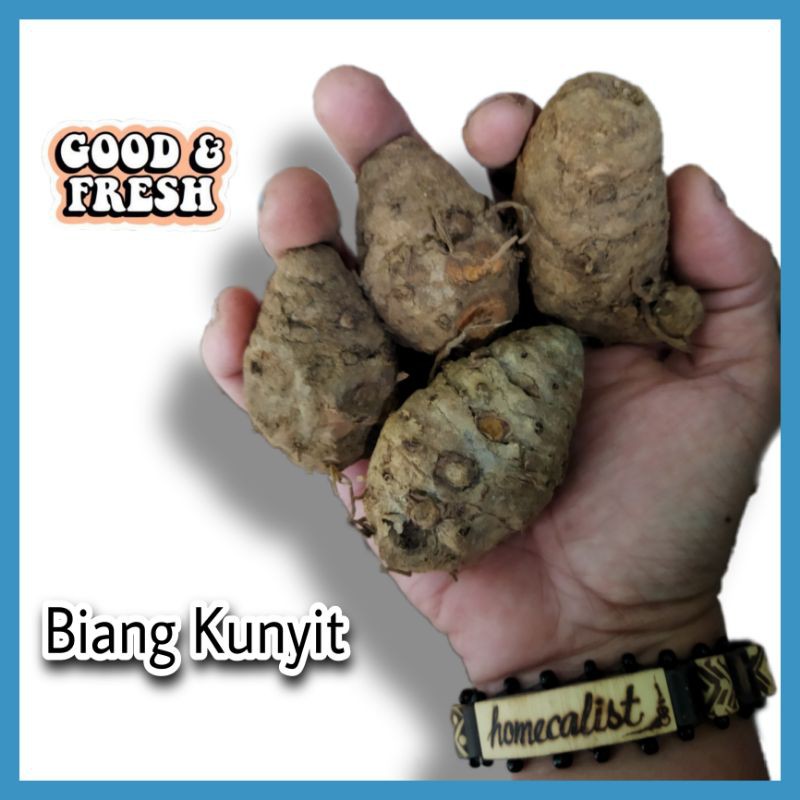 Biang kunyit 1kg Biang Kunyit Segar / Empu Kunyit