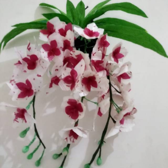 Bunga hias Anggrek gantung