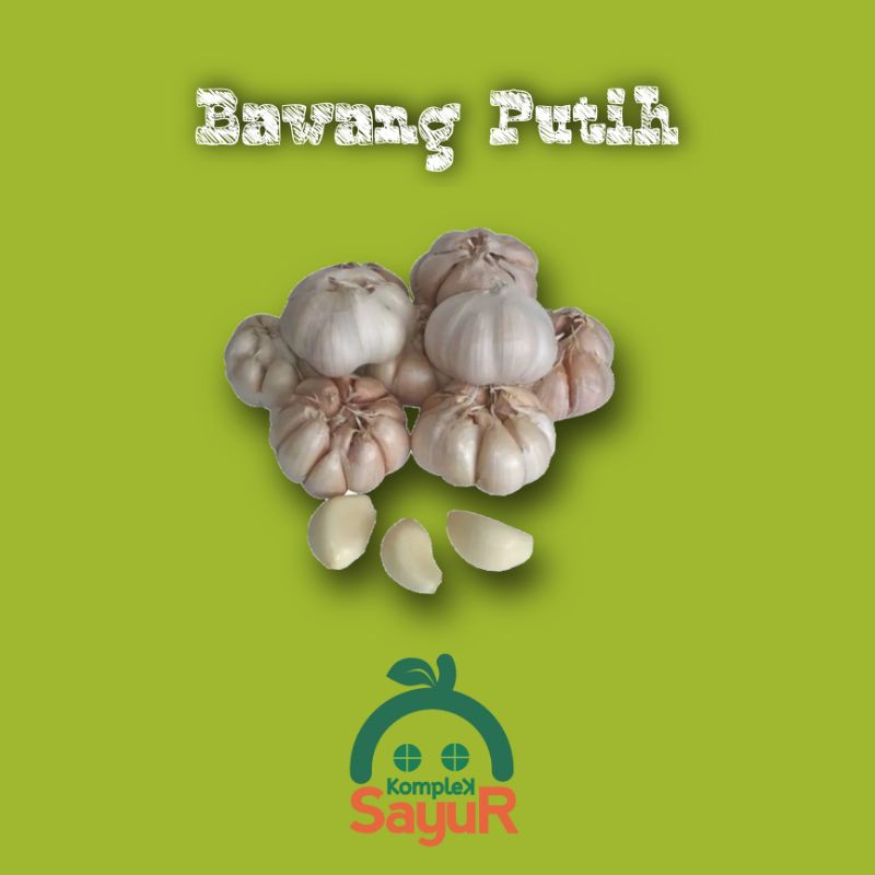 

Bawang Putih / Garlic Kualitas Pilihan Terbaik