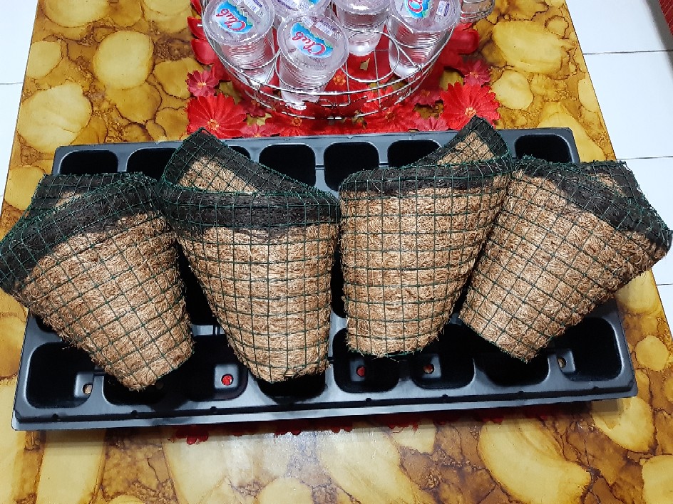 Pot Tempel Kerucut / Pot Sabut Kelapa / Pot Anggrek / Media Tanaman Anggrek