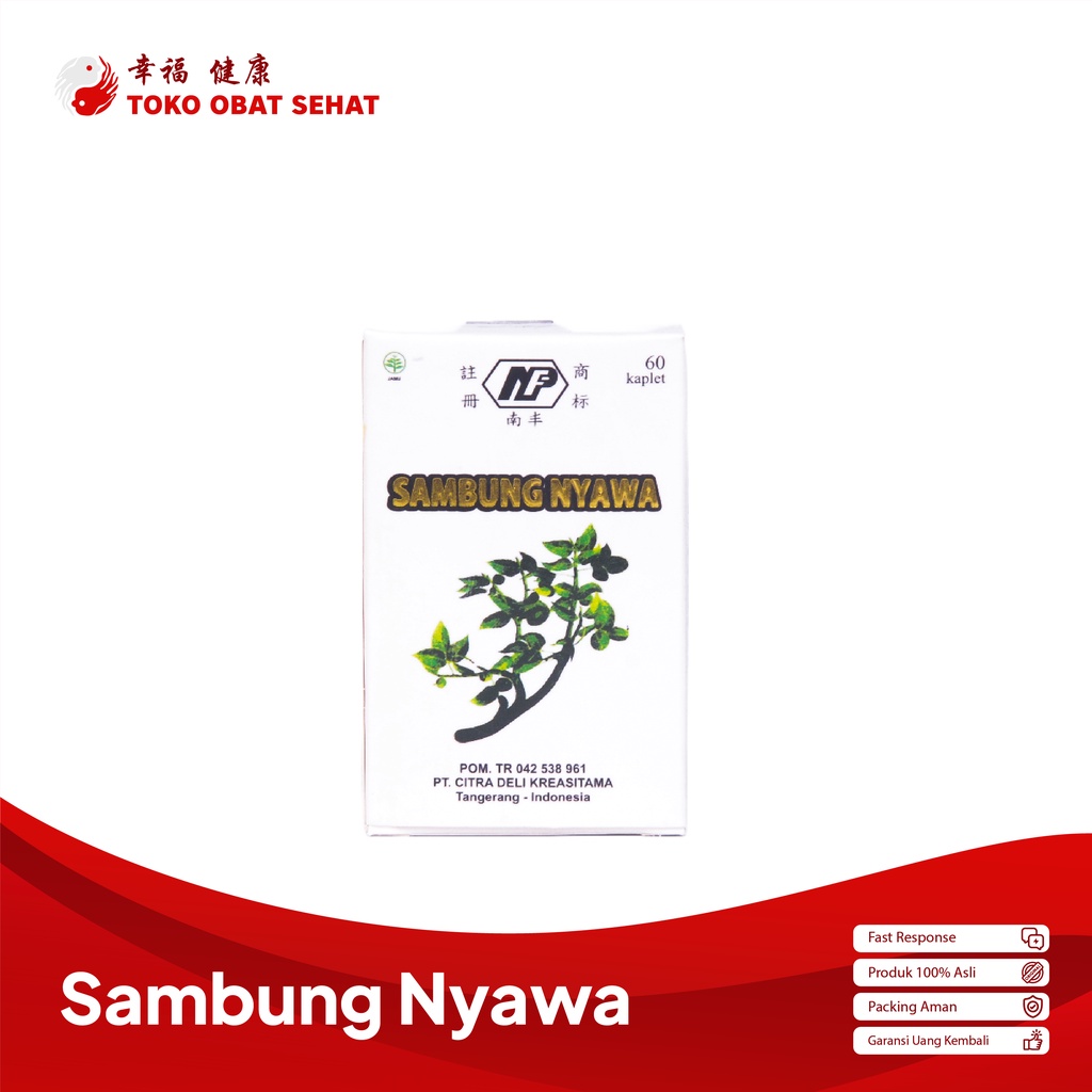 SAMBUNG NYAWA KAPLET obat wasir - ambeien herbal manjur