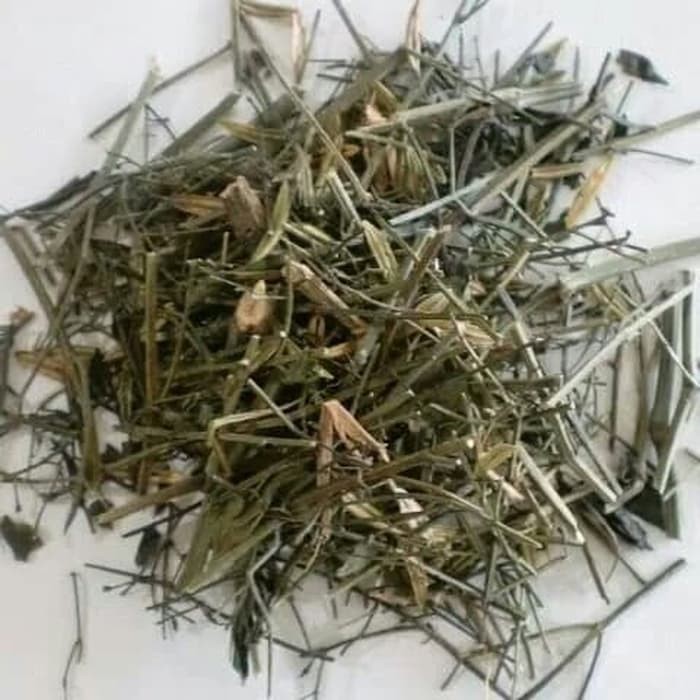 

chuan xin lian Andrographis paniculata 150 gram