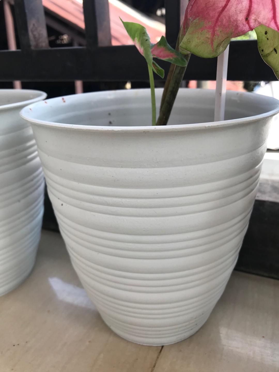 Pot Tawon Tirus Pot Lebah Hias Pirus Guci 201