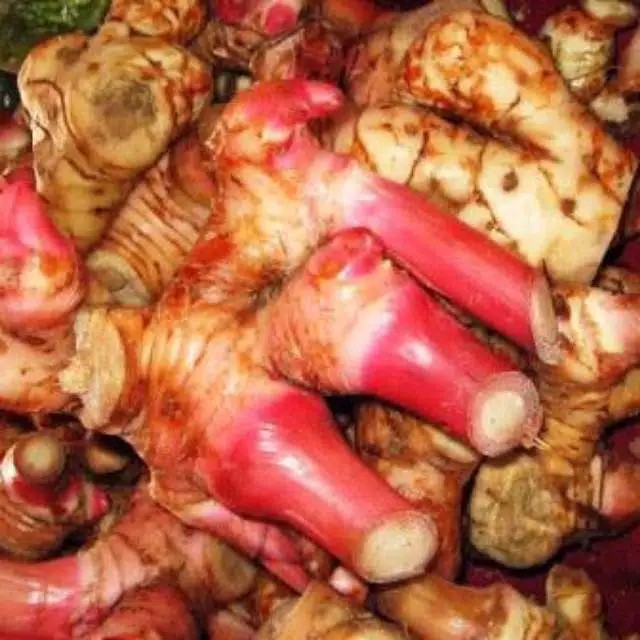 lengkuas merah 1 kg