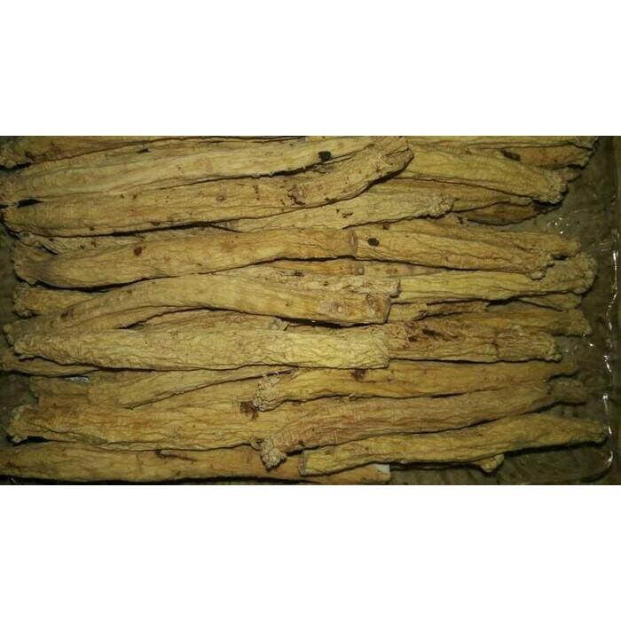 

codonopsis radix tong sem tong sam dang shen 25 g grade A