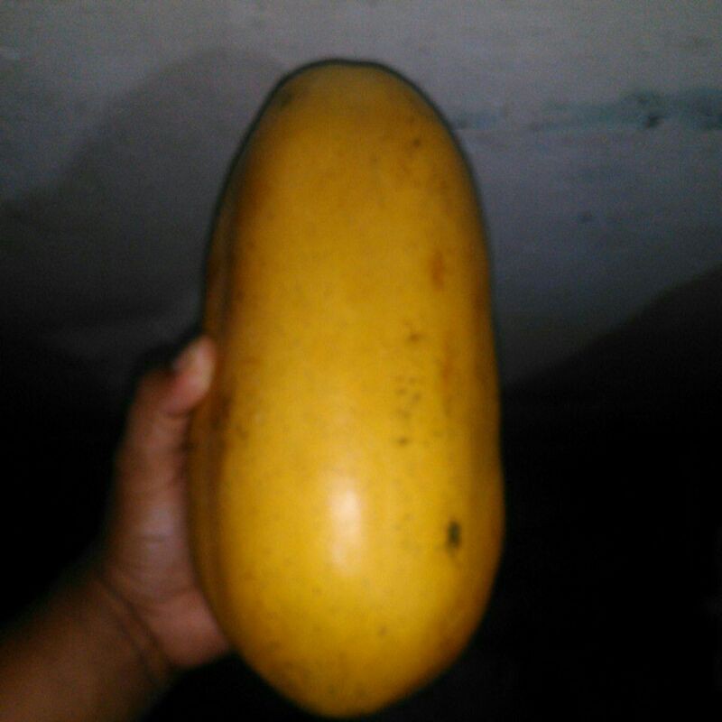 

pepaya california