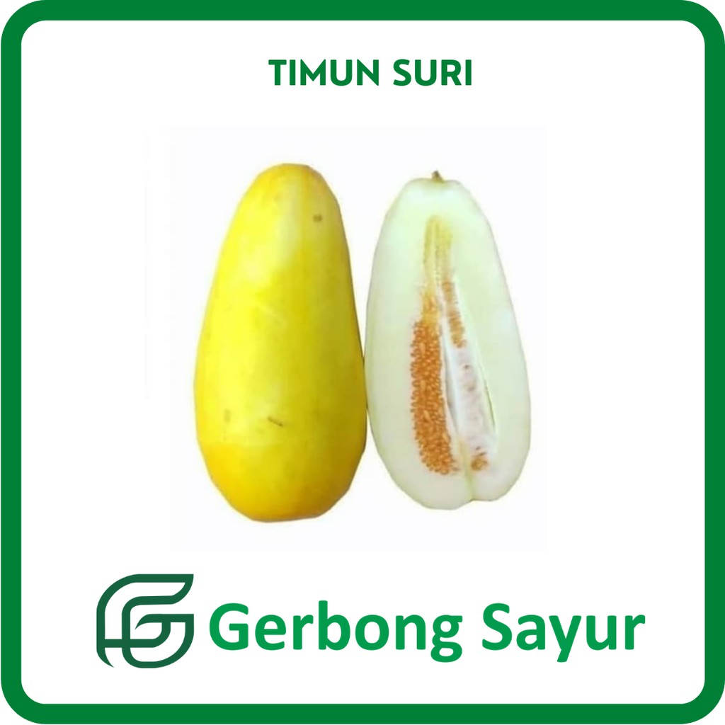 

Timun Suri Segar - 1 Kg