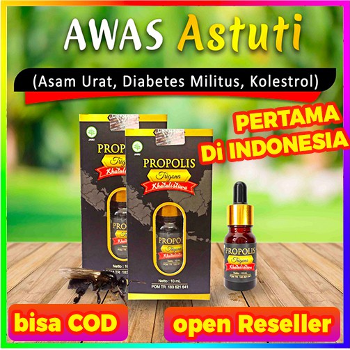 PROPOLIS TRIGONA KHATULISTIWA DETOKS IMUN BOOSTER OBAT ASAM URAT KOLESTEROL DARAH TINGGI AMPUH