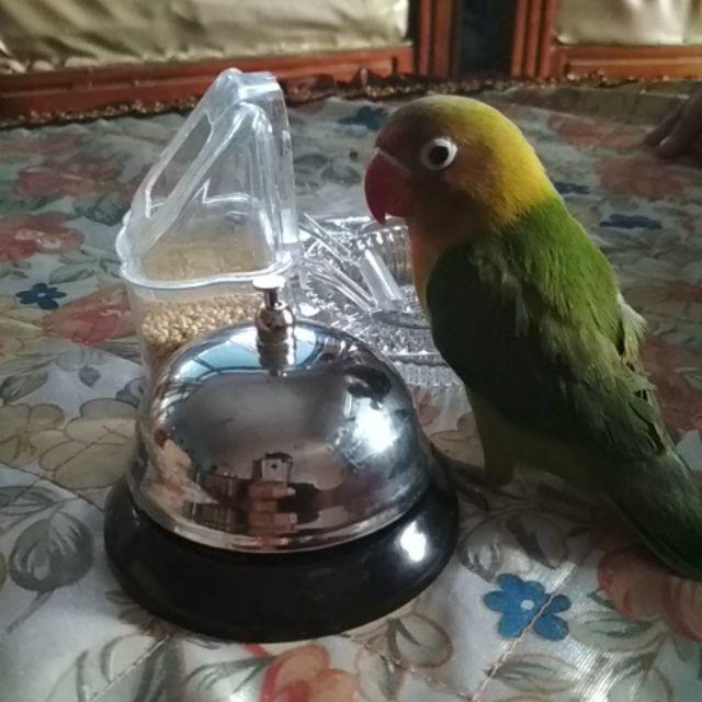 Bell Meja / Call Bell