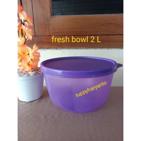 mangkuk fresh bowl ungu tupperware 2liter
