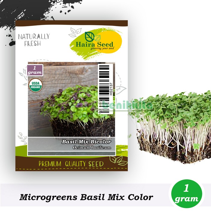 Benih-Bibit Microgreen Basil Bicolor Organik (Haira Seed)