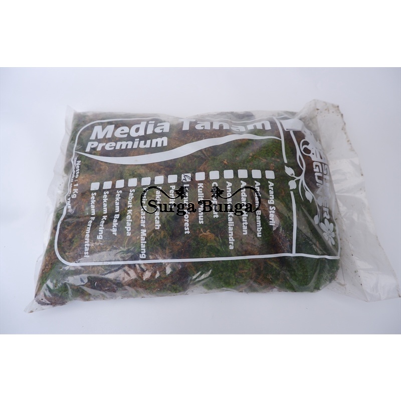 Media Lumut Forrest - Media Tanam Lumut Hidup 1kg