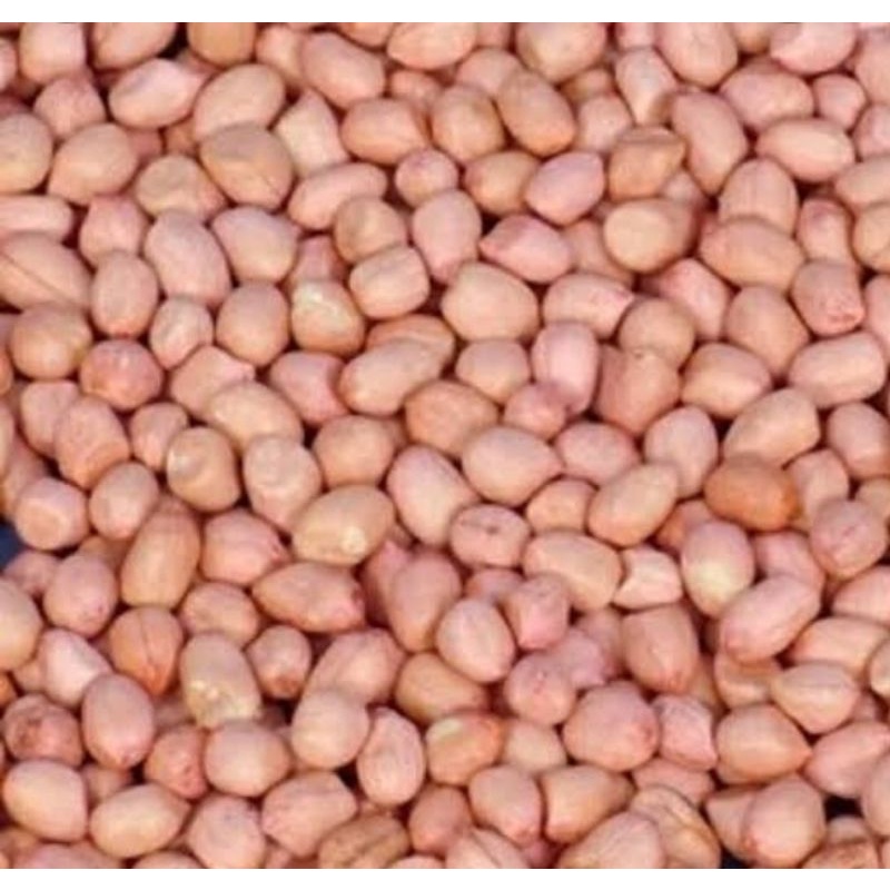 

Kacang tanah lokal 500 gram