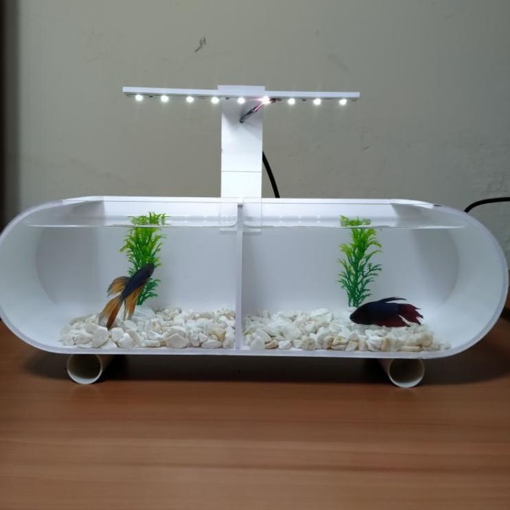 (STOK TERBARU) aquarium akrilik sekat fullset / aquarium cupang sekat / Aquarium mini / akuarium sek