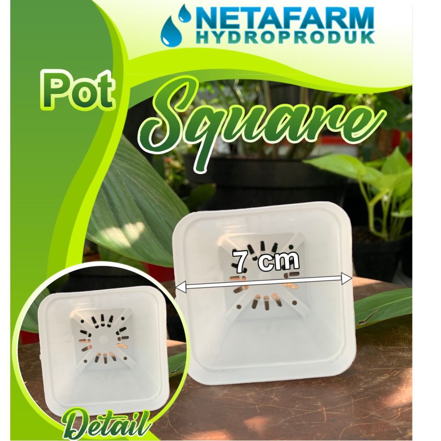 Pot Square Putih Kotak 7 cm - 1 pcs