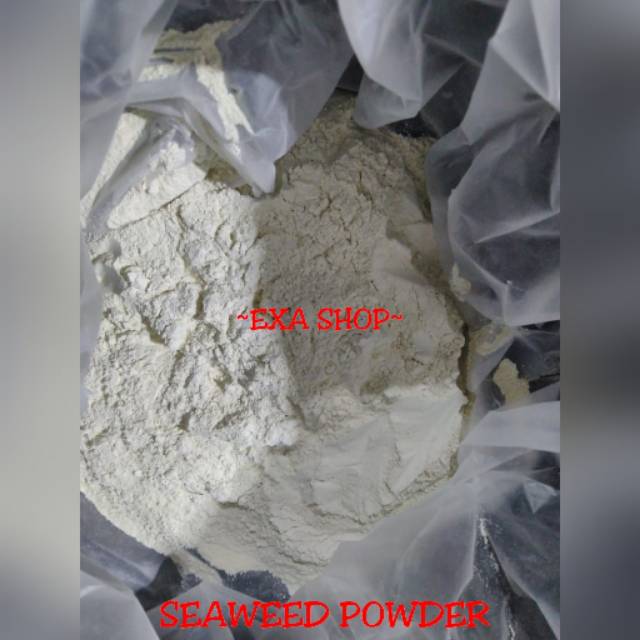 

TEPUNG RUMPUT LAUT BUBUK / EUCHEUMA SPINOSUM / SEAWEED POWDER 500 GR