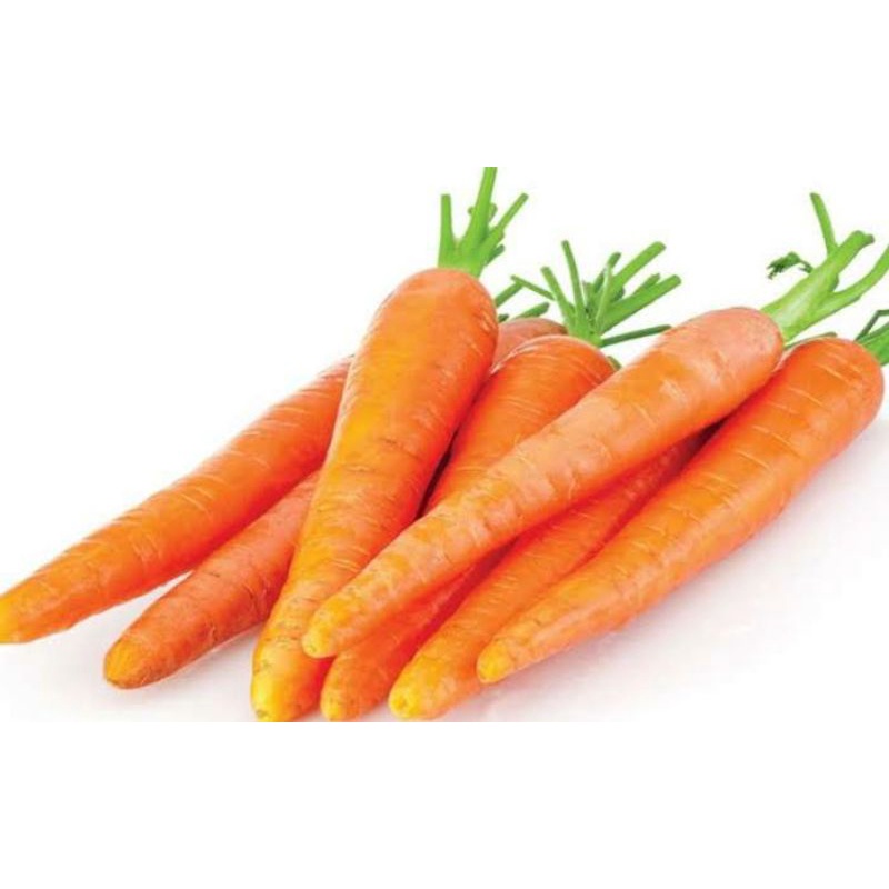 

wortel segar 500 g