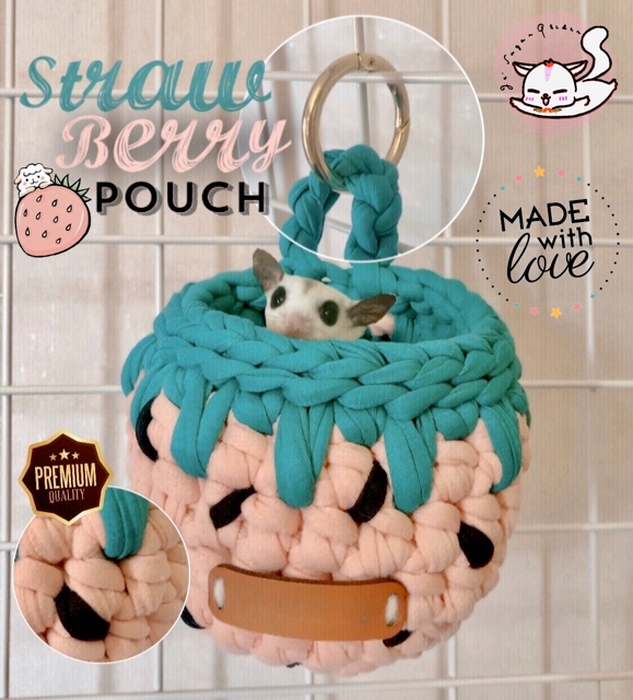 Sugar Glider Pouch, Strawberry Sugar Glider Pouch