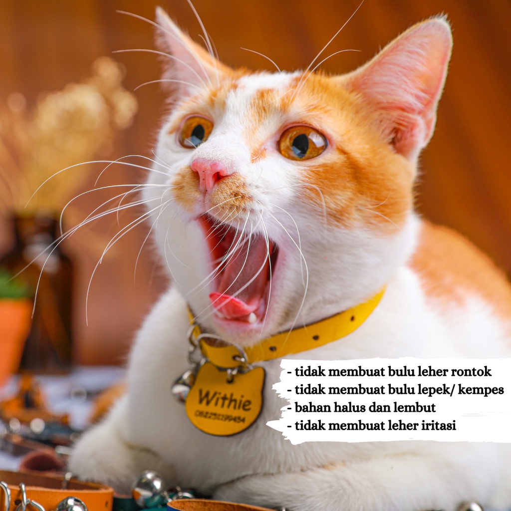 LOOD KALUNG KUCING PAW PAW / GRATIS UKIR NAMA