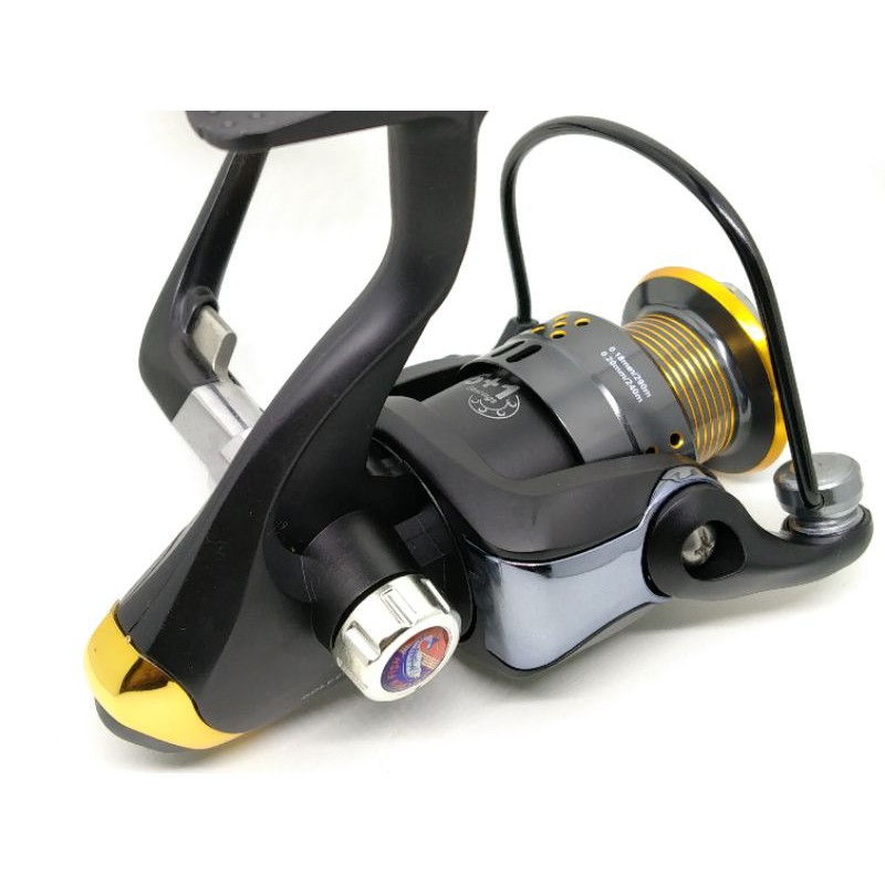 Golden Fish Tiger B TB251
