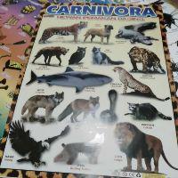 Poster Binatang Pemakan Daging Shopee Indonesia
